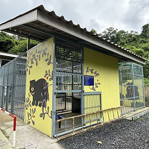 Asiatic Black Bear Cages