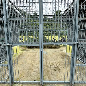 Asiatic Black Bear Cages