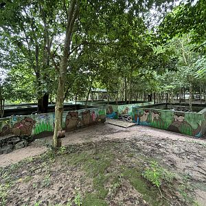 Small-clawed Otter Exhibits (5)