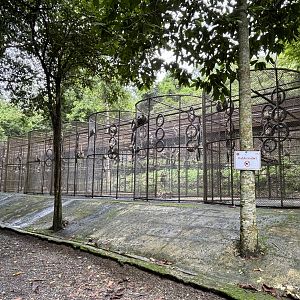 There are 1,200 Crab-eating Macaques