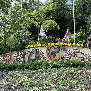 Bangkok Butterfly Garden - display in park