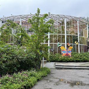 Bangkok Butterfly Garden