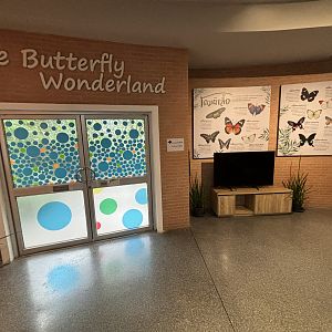 Bangkok Butterfly Garden