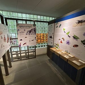 Bangkok Butterfly Garden