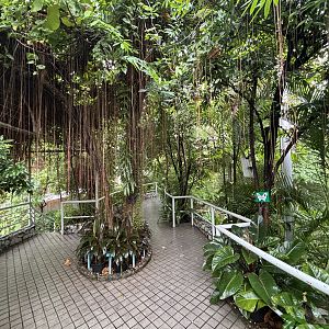 Bangkok Butterfly Garden