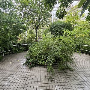 Bangkok Butterfly Garden