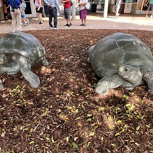 New Tort and Retort Statues in NA Plaza