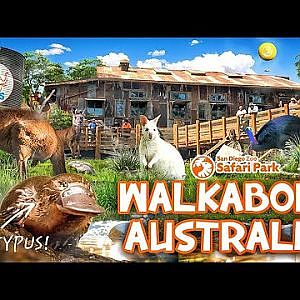 Walkabout Australia | Zoo Tours
