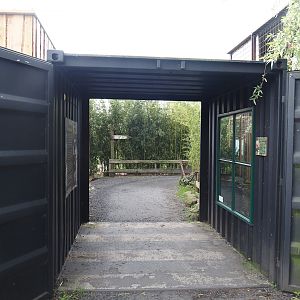 Shipping container viewing area for Siberian weasel exhibit, 2024-04-14