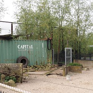 Southern white-lipped peccary stable and separation pen, 2024-04-14