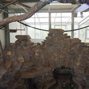 Blue-headed macaw and Plains viscacha indoor exhibit, 2024-04-14