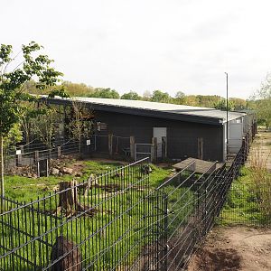 South America house and Giant anteater and Azara's agouti exhibit, 2024-04-14