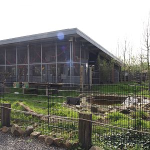 South America house and Giant anteater and Azara's agouti exhibit, 2024-04-14