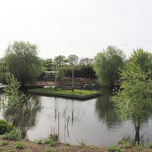 South American exhibit lake, 2024-04-14