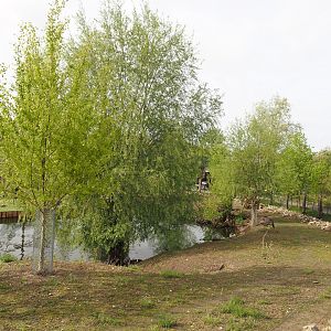 South American exhibit, area around lake, 2024-04-14