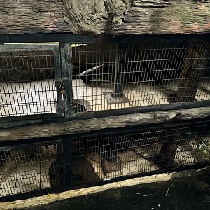 Peuan Deratchan Zoo - empty exhibits