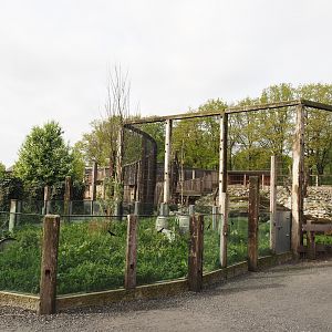 European souslik exhibit (Currently empty) and Rocky Mountain goat exhibit, 2024-04-14