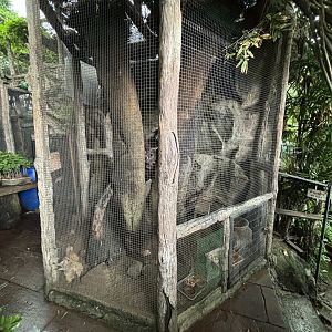 Peuan Deratchan Zoo - Meerkat Exhibit