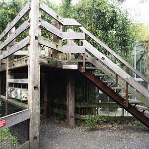Snow leopard viewing area, 2024-04-14