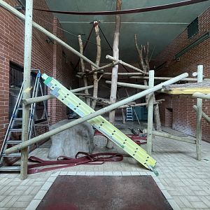 Former Bonobo Indoor Exhibit Under Refurbishment (Right)