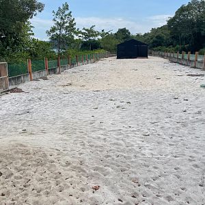 Sea Turtle Nesting Site