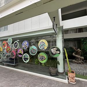 Snake Educational Room