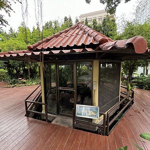 Albino Burmese Python Exhibit