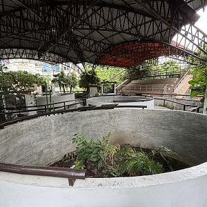 Copperhead Rat Snake Exhibit