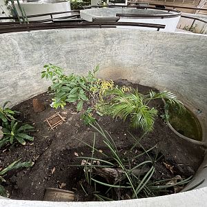 Copperhead Rat Snake Exhibit