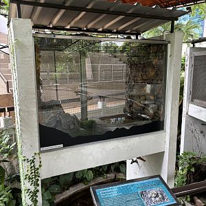 Boa Constrictor Exhibit