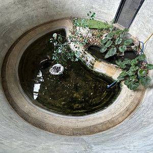 Rainbow + Jack’s Water Snakes