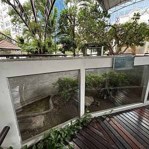 Banded Rat Snake Exhibit