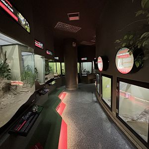 Snake Exhibits