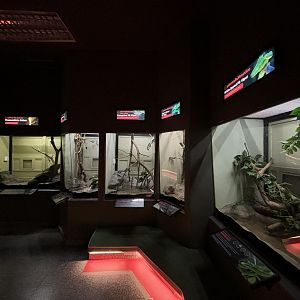 Snake Exhibits