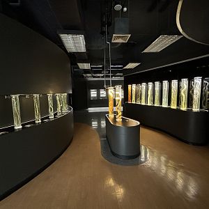 Snake Museum - Snake Tubes