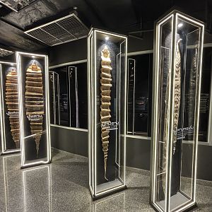Snake Museum - Snake Skins