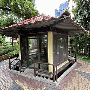 Green Anaconda Exhibit