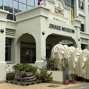 Snake Museum Entrance
