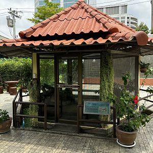 Reticulated Python Exhibit