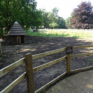 Work recommenced on third paddock in zoo extension, 1st August 2024