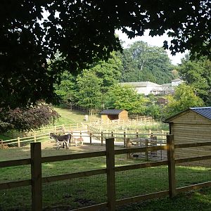 Looking across zoo extension to main body of zoo beyond, 2nd August 2024