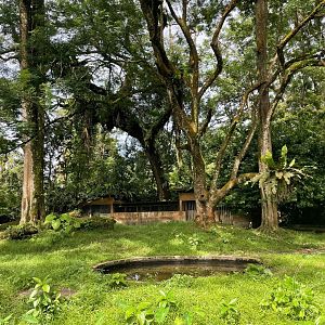 Malayan Tapir & Southern Red Muntjac Exhibit