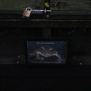 Boxes for Leiopelma pakeka