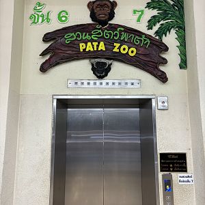 Elevator to rooftop Pata Zoo