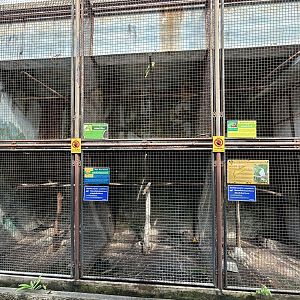 Assorted Aviaries