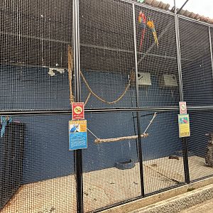 Macaw Aviary