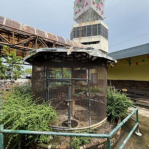 Green Iguana Exhibit + Tower Sign