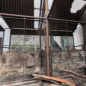 Crab-eating Macaque Exhibits
