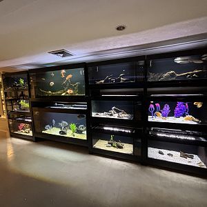 Assorted Aquarium Tanks