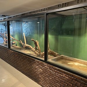 Green Anaconda Exhibit